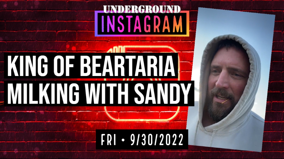 Friday September 30 2022 King Of Beartaria Milking With Sandy Big Bear Bonus Streams 6917